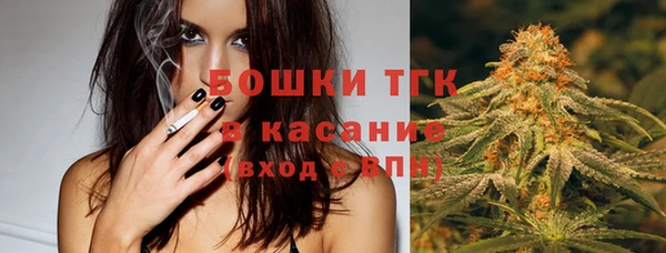 PSILOCYBIN Инсар