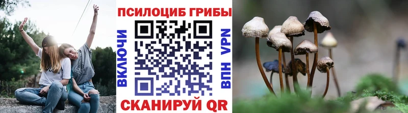 Галлюциногенные грибы Cubensis  Кинель 
